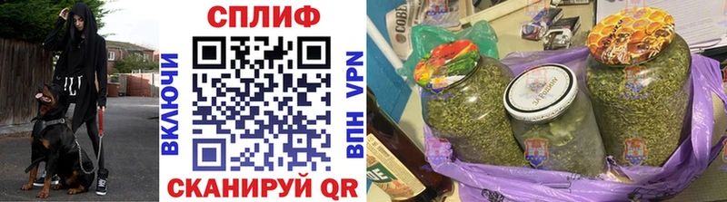 Бошки марихуана план  наркотики  Павловск 
